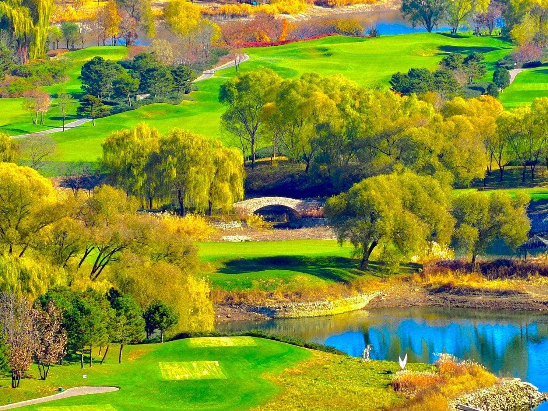 Lush green golf course fairway on a misty morning