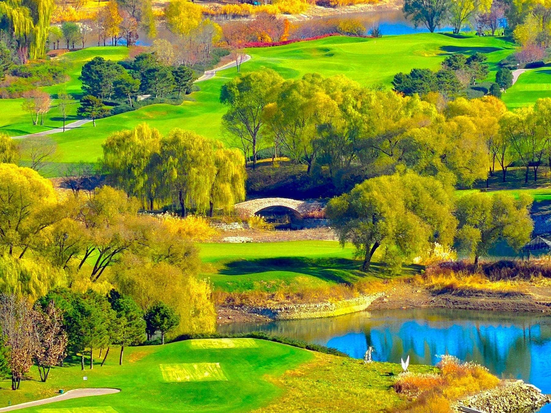 Lush green golf course fairway on a misty morning